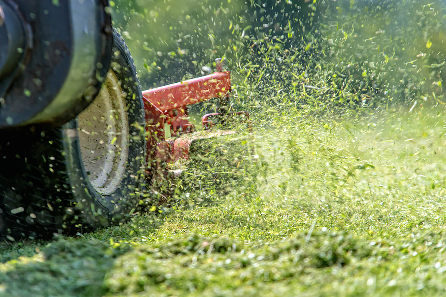 MTS_Backyard_LawnCare_03